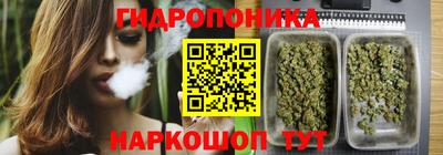 мяу мяу мука Абакан