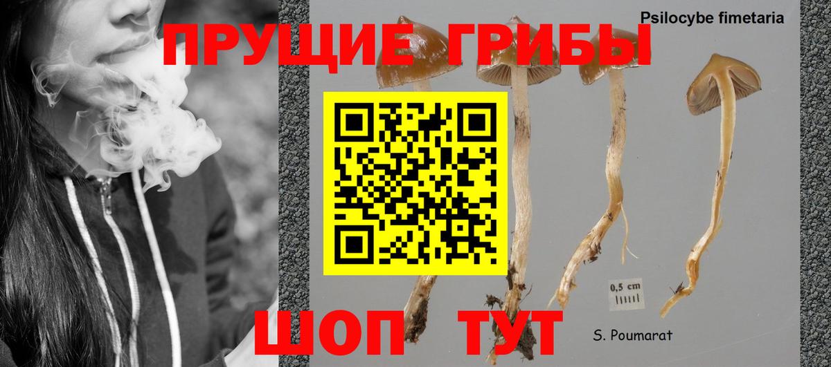Псилоцибиновые грибы мухоморы Абакан