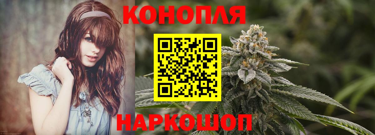 Марихуана конопля Абакан